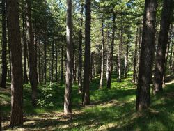 Casa Gallida Excursion sur l'Etna